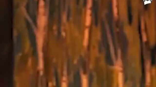 Спектакль для детей "Қошқар мен теке", Актау