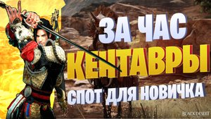 500кк+ спот для новичка ☛ Кентавры ☛ Black Desert