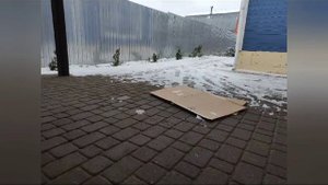 эко подмосковье