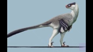 Урок палеонтологии #3.Дромеозавриды-Мезозойские хитрецы.