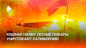 "Огонь за нами! Быстрее, пожалуйста!": знаменитые Голливудские холмы объяты огнем в Калифорнии