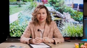 Как сделать ландшафтный дизайн сада визуально дороже? Топ 10 секретных приемов в ланшафтном дизайне.