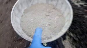 Супер посадка озимого чеснока, проверенная годами!!!