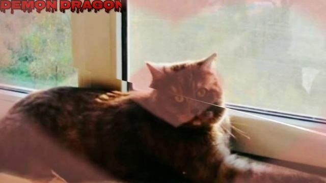 Кекс босс теперь он или с Днём Рождения Кекс! смотреть онлайн