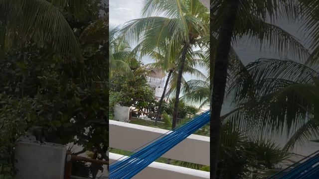 Она делит со мной вайб смотреть онлайн