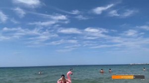 КРАСИВЫЙ ФЛАМИНГО??  УФФ ОТ ДИ РУБЕНС