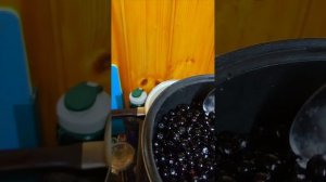 Цукаты из чёрной рябины.