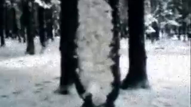 Чак Норис смотреть онлайн