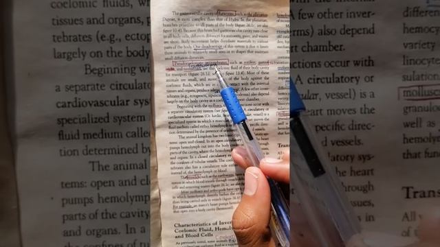 Transport system in invertebrae. Chapter 26 смотреть онлайн