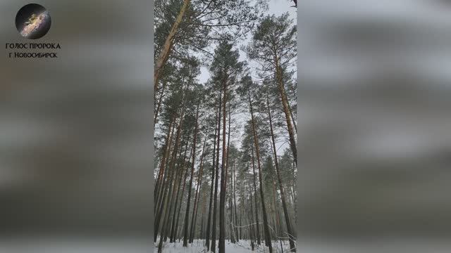 БЕСЫ МОГУТ ЖИТЬ В ЛЮДЯХ!?