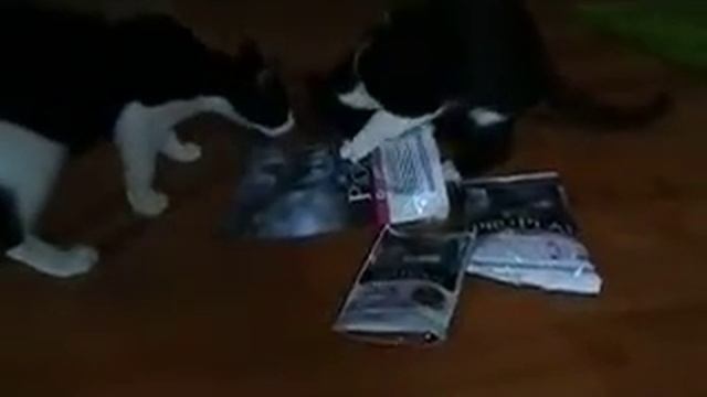 PURINA Pro Plan DELICATE смотреть онлайн