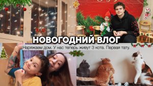 ❄️Новогодний ВЛОГ!🎄| Наряжаем дом✨ | 3 КОТА дома (это жесть😧) | Письмо ДЕДУ МОРОЗУ🎅🏻