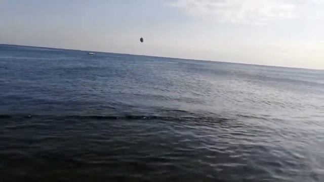 Сукко - Воронеж, дома завтра в Питер смотреть онлайн