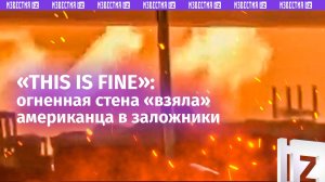 Смертельная ловушка: стена из огня охватила дом жителя Лос-Анджелеса — кадры изнутри