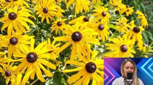 Невестка замерла, подслушав разговор мужа и свекрови. И решив проследить за матерью мужа...