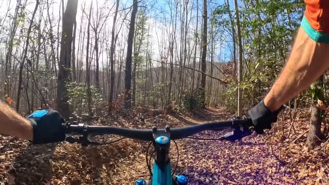 STILL the chunderflow epic ride of my dreams ｜ Mountain Biking Avery & Bennet in Pisgah