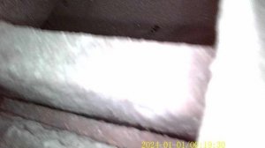 SPARK Эндоскоп, поворотный зонд 6.2мм длина 1.5 м. Осмотр ЗДТ и колодок на Touareg - оригинал