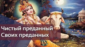 Чистый преданный Своих преданных — Бхакти Викаша Свами