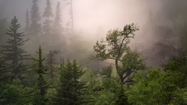 "ОНИ" - Страшные истории на ночь. Полные версии. Сборник лучших рассказов 2024 смотреть онлайн