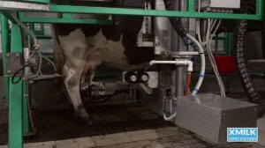 Доильный аппарат