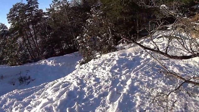 Гуляю по лесу Негде купить борща смотреть онлайн