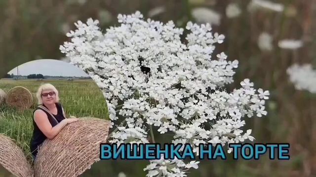 ДОКАТИЛИСЬ ДО ДНА! ANYANASTYA LIFE. ОБЗОР