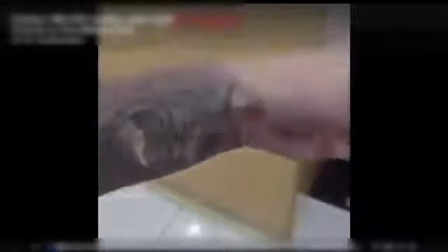 Нашумевшая тоналка дермакол!!! смотреть онлайн