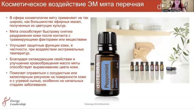 Эфирное масло Перечная Мята - ТЕОРИЯ
