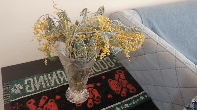 Букет Мимозы смотреть онлайн