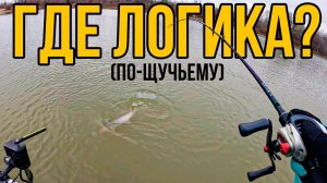 ШОК-Проводка Для ХОЛОДНОЙ Воды | Ловля щуки с PANOPTIX LIVESCOPE