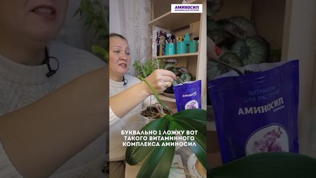 Секреты ухода за орхидеями: как подкормка помогает цветению! 🌺✨