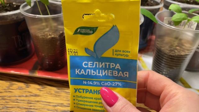 РАССАДА ПЕРЦА И БАКЛАЖАН крепкая и не вытягивается! 3 секрета