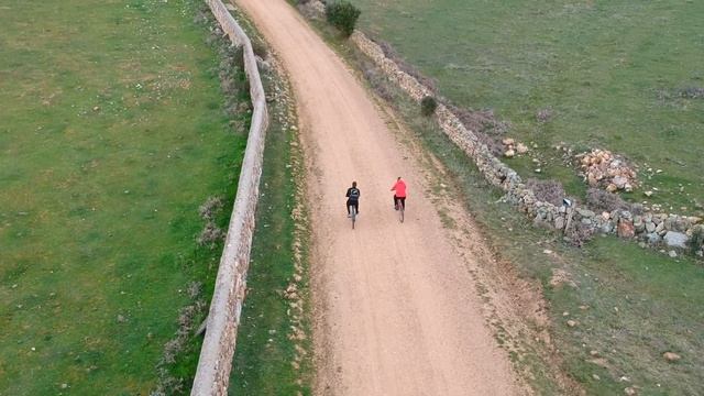 Morille a vista de pájaro смотреть онлайн
