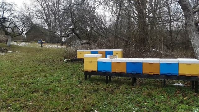 Пришла зима и с ней "Письмо счастья". Разобрал мотоблок, готовлю пчел... смотреть онлайн