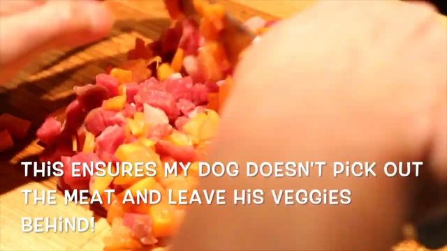 Steak Tartare for Dogs 2
