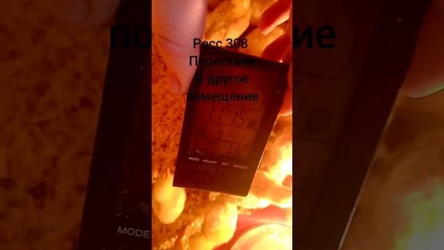 Мои цыпочки переехали #многодетнаясемья #жизньназемле #всёпросто #птицеводство #бройлеры