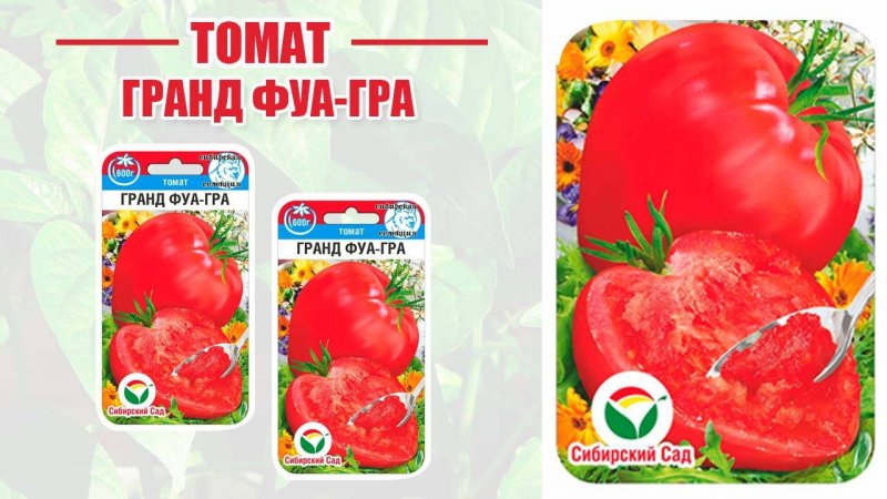 Томат «Гранд Фуагра»