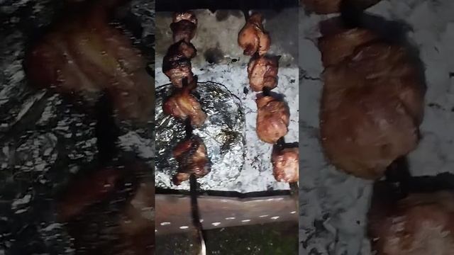 Внчер. Дача. Жарим шашлык #shorts #рек #дача #отдых смотреть онлайн