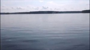 Летняя Рыбалка на Рефтинском на сорожку . 04 09 2019