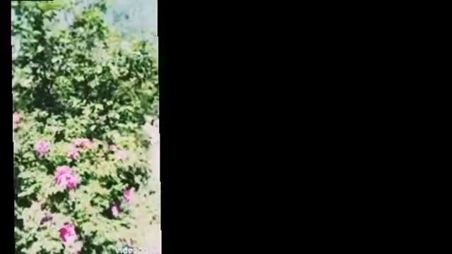 11.41. АУДИО. АРМЯНЕ. ВСЁ. SHOTS¿¿. INSHOT. shcherbakov. prophet. ЩЕРБАКОВ АРТЕМ.