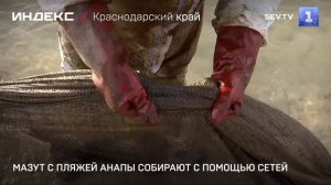 Мазут с пляжей Анапы собирают с помощью сетей
