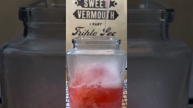 Fermented Rhubarb Soda with Nikos Tachmazis #shoshinshorts смотреть онлайн