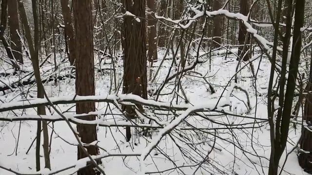 ПРИВЕТСТВУЕМ МАРУ ЗИМУ ДЛЯ ВСЕХ.. ИНГА ХОСРОЕВА смотреть онлайн