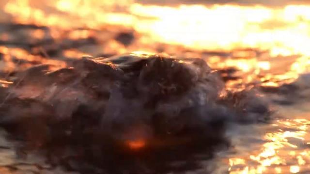 Kugel am Meer, Lensball Photography, Glaskugel Fotografie смотреть онлайн