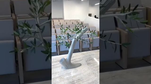 made a chocolate tree #chocolate #shorts смотреть онлайн