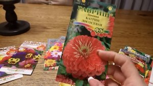САМЫЕ ЛУЧШИЕ СЕМЕНА ЦВЕТОВ, КОТОРЫЕ ВСЕГДА ПОРАДУЮТ ПЫШНЫМ ЦВЕТЕНИЕМ!