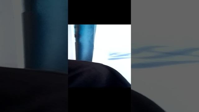 милый котик 6 серия
