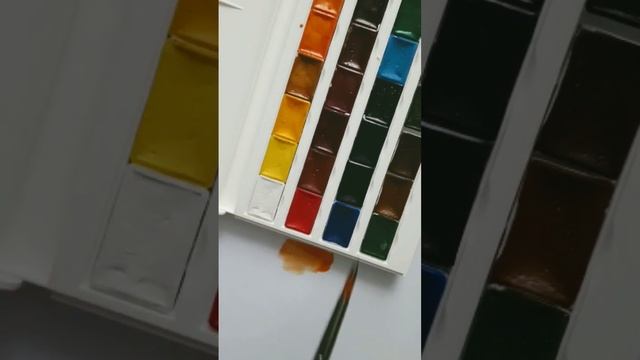 Художник Александра Миркушова