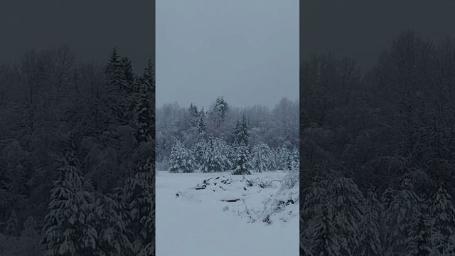 ПосмотриКА Зима Вивальди