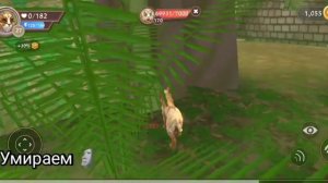 Вайлд крафт / способы прокачки / способы прокачки в вайлд крафт